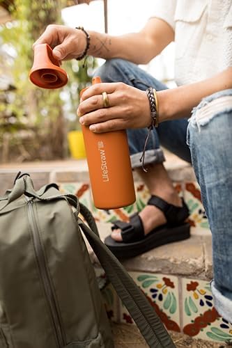 LifeStraw Go Series Insulated Steel Water Filter Bottle, 24 oz, Thistle Purple