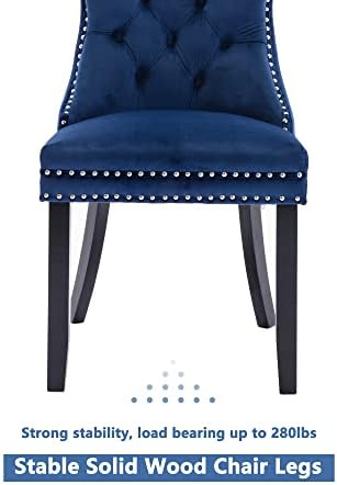 Virabit Blue Set of 2, Velvet Tufted Dining Chairs with Nailhead Back and Rin...
