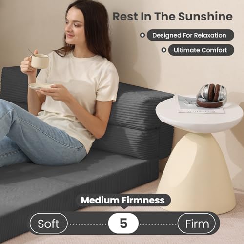 JUIKURY Folding Sofa Bed, Convertible Sleeper Chair with Pilow Foldable Matre...