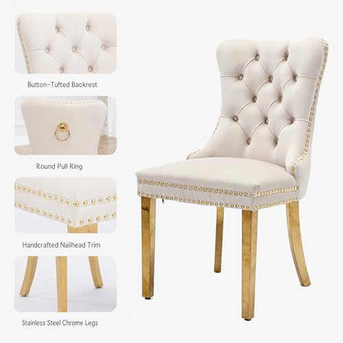 HomVent 36''Gold Round Glass Dining Table Set for 2 for Family Gathering