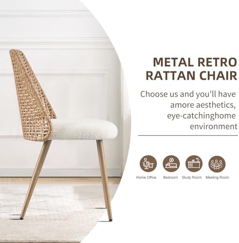 Rattan Dining Chairs Set of 4, Rattan Dining Chairs with Cane PE Rattan Backr...