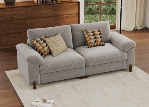 SITJOY Cloud Couch Sectional, 2 Seater Loveseat Chenille in Light Gray | Deta...