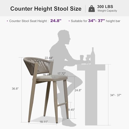 PURPLE LEAF Counter Height Bar Stool Set of 2 Patio Bar Stools Champagne