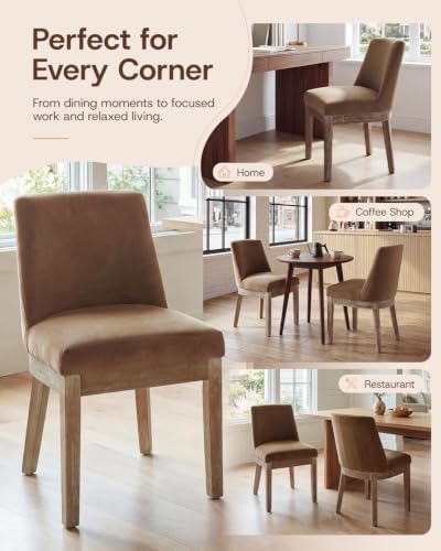 HNY Modern Dining Chairs Set of 2 with Comfortable Back Support, Farmhouse So...