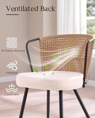 BedsPick Rattan Dining Chairs Set of 4 - Farmhouse Upholstered PE Rattan Kitc...