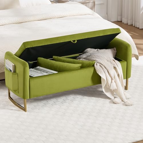 48" End of Bed Bench, Modern Storage Benches with Button-Tufted, Velvet ...