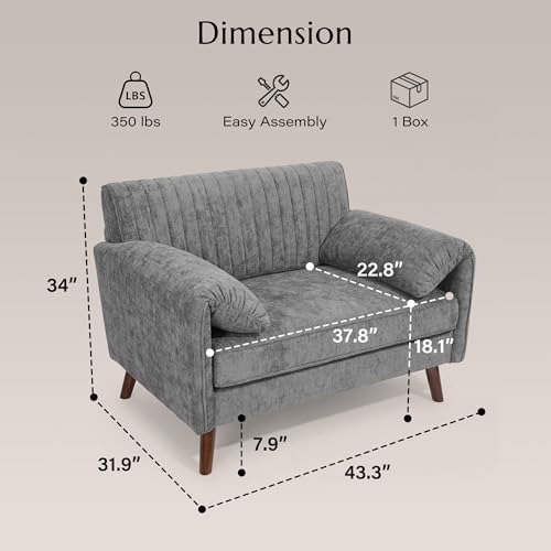 Modern Oversized Accent Reading Chair for Living Room, 43", Chenille, Gray