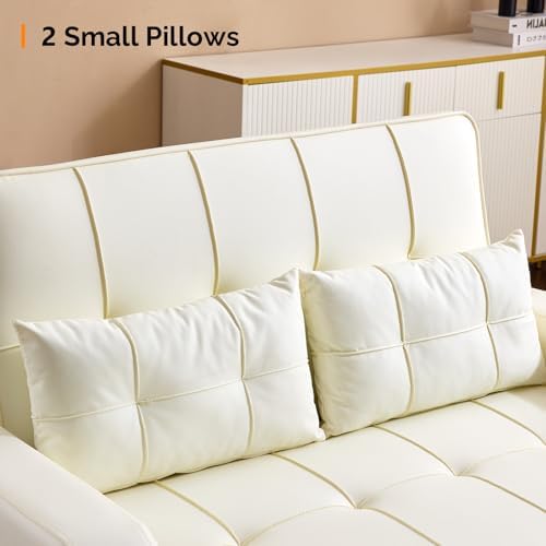 VINGLI Convertible Loveseat Sleeper Sofa Bed, Pullout Couch for Living Room |...