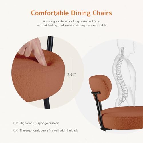 DUMOS Dining Chairs Set of 6, Mid Century Modern Chair Round Upholstered Curved Backrest, Kitchen Vanity Living Room Chairs with Black Metal Legs, Orange