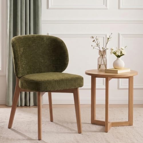 YOUNUOKE Single Dining Chair Modern Dining Room Chair Green