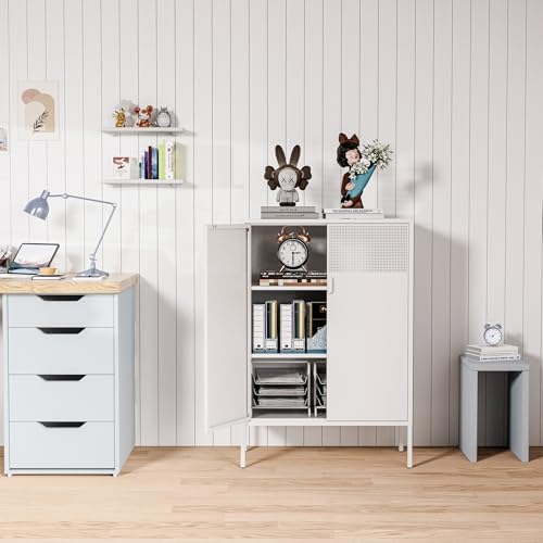 Washsemba 2 Mesh Door Metal Storage Cabinet with Adjustable Shelves, Multipur...