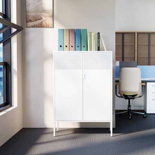 Washsemba 2 Mesh Door Metal Storage Cabinet with Adjustable Shelves, Multipur...