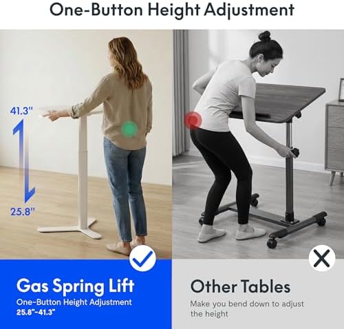 FLEXISPOT Gas Spring Lift Sit-to-Stand Table,20" Round Bar Table | With ...