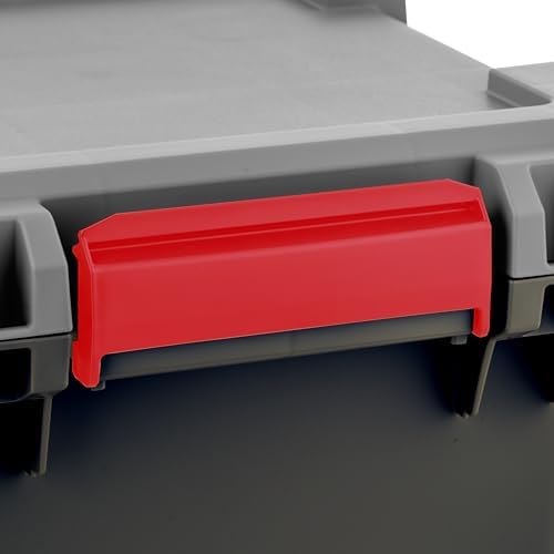 IRIS USA 2-Pack 15 Gallon Lockable Storage Trunk TrailBox, Dark Gray/Gray | K...