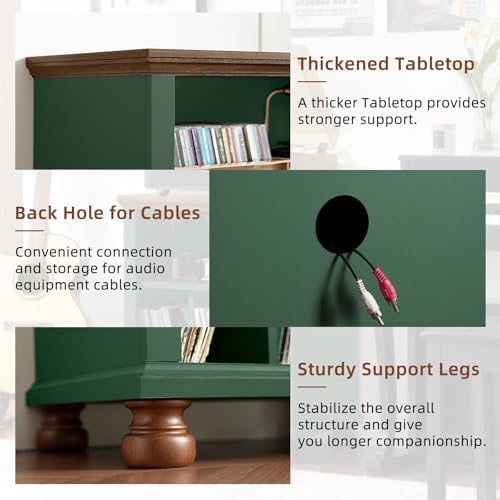 Joaxswe 24" Wide Record Player Stand with Vinyl Record Storage, Green | ...