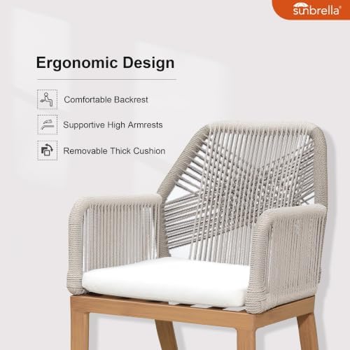 PURPLE LEAF 9 Pieces Patio Dining Set with Cushion and Wicker Armrests Teak