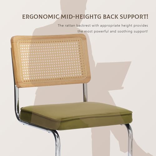 Rattan Dining Chairs Set of 4,Upholstered Mid-Century Modern Dining Room Chai...