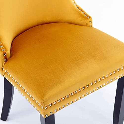Set of 2 Velvet Dining Chair with Backstitching Nailhead Trim and Solid Wood ...