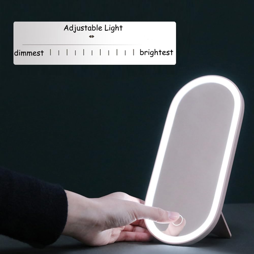 2025 Makeup Case with Mirror, Portable Cosmetics Box with LED Lighted Mirror ...