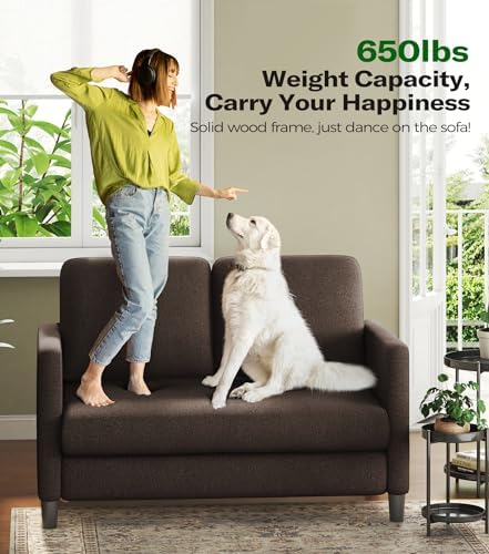 Welzona Loveseat, 51" Small Couch, Teddy Love Seat, Small Loveseat Sofa ...
