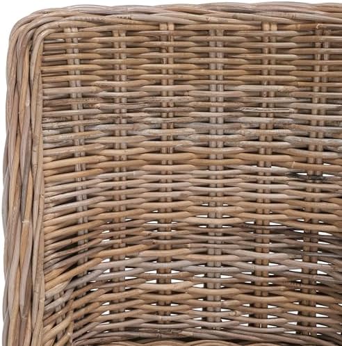 Safavieh Home Collection Caprice Grey 18-inch Wicker Dining Chair with Leathe...