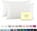 Silk Pillow Cases 2 Pack Soft Breathable and Sliky Queen Size Pillow Cases Set of 2,Natural Mulberry Satin Silk Pillowcase with Hidden Zipper for Hair and Skin (Ivory,20"X 30",2pcs)