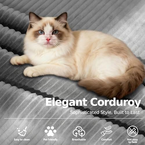 MoonSpeak 78.8'' Futon Sofa Bed, Couches for Living Room | Corduroy C...