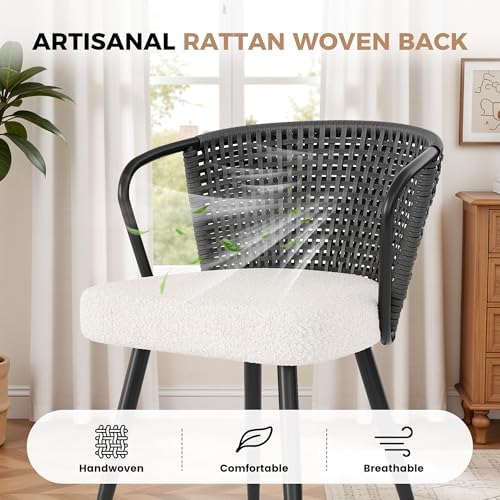 Rattan Dining Chairs Set of 2, Upholstered Kitchen Chair with Metal Legs, Erg...