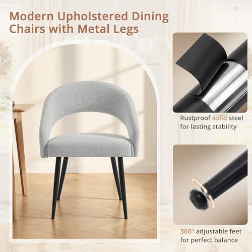 LUE BONA Modern Dining Chairs Set of 4, Light Grey
