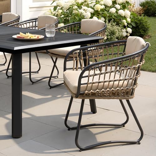 Pellebant 9 Piece Outdoor Dining Set for 8, Aluminum Table & Wicker Chairs