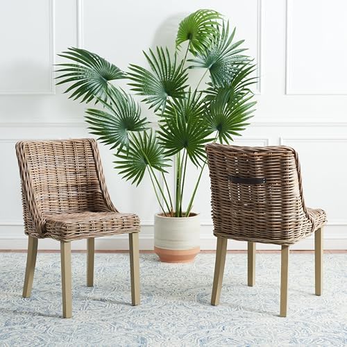 Safavieh Home Collection Caprice Grey 18-inch Wicker Dining Chair with Leathe...