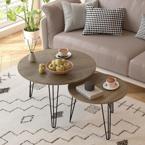 Small Round Nesting Coffee Table Set of 2 for Living Room, 27.56 inch Wood Mo...
