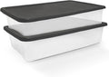 HOMZ 2-Pack Snaplock, Large Clear Plastic Storage Organizer Bins w/Lids, 41 Quart, Gray - Stackable Container Boxes for Bedroom, Bathroom, Garage, and Office Organization