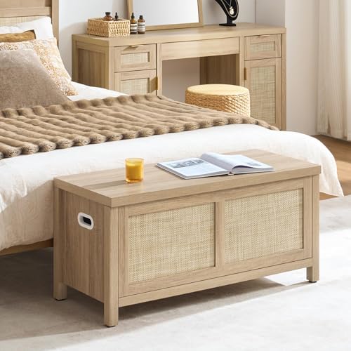 SICOTAS Rattan Storage Chest 39.4" Storage Bench for Bedroom | Modern Bo...