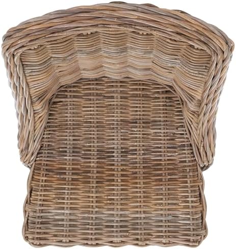 Safavieh Home Collection Caprice Grey 18-inch Wicker Dining Chair with Leathe...