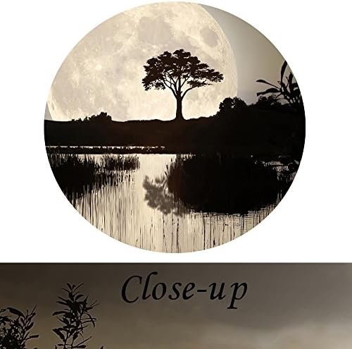 4 Pieces Canvas Prints Wall Art Big Moon over Lake in Dark Forest
