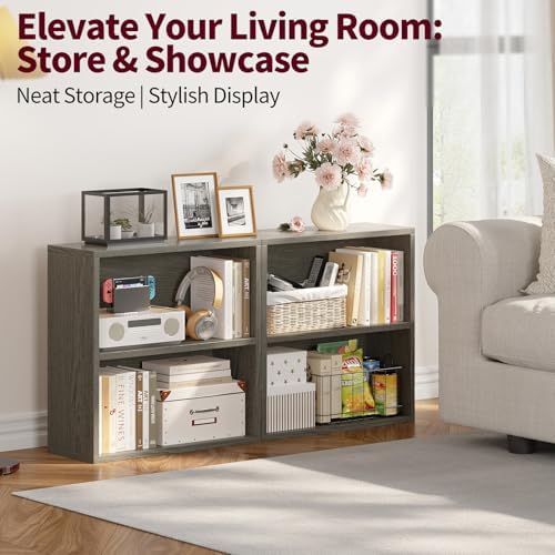 ALISENED 2 Tier Open Shelf Bookcase, Small Bookshelf with Storage