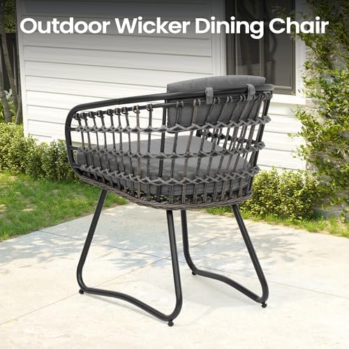 Pellebant 11 Piece Outdoor Dining Set for 10, Aluminum Table & Wicker Chair