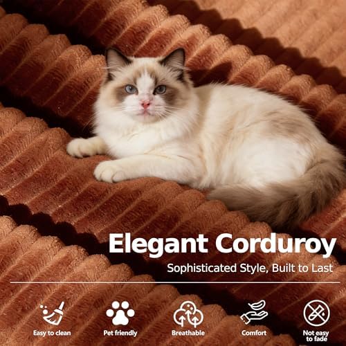 MoonSpeak 78.8'' Futon Sofa Bed, Couches for Living Room | Corduroy C...