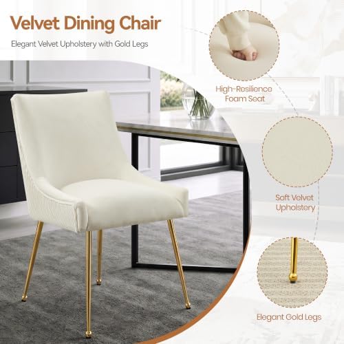WUTUTUEE Velvet Dining Chairs Set of 4 Gold Legs,Upholstered Velvet Accent Ch...