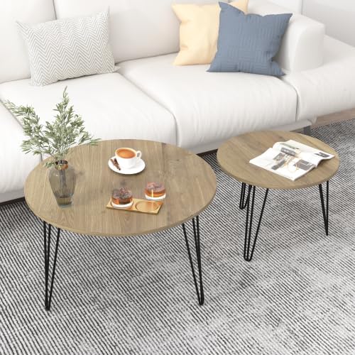 Round Nesting Coffee Tables Set of 2, Marble Grain Top Modern Side Tables | M...