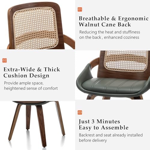 Set of 2 Kitchen & Dining Room Chairs - Green Dining Chairs with Walnut B...