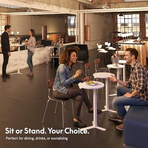 FLEXISPOT Gas Spring Lift Sit-to-Stand Table,20" Round Bar Table | With ...