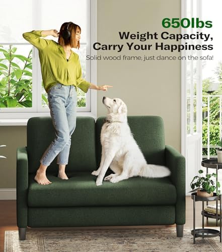 Welzona Loveseat, 51" Small Couch, Teddy Love Seat, Small Loveseat Sofa ...