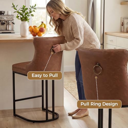 AQO Counter Height Bar Stools Set of 4 for Kitchen Island, Modern Bar Stools ...
