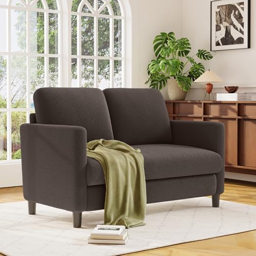 Welzona Loveseat, 51" Small Couch, Teddy Love Seat, Small Loveseat Sofa ...