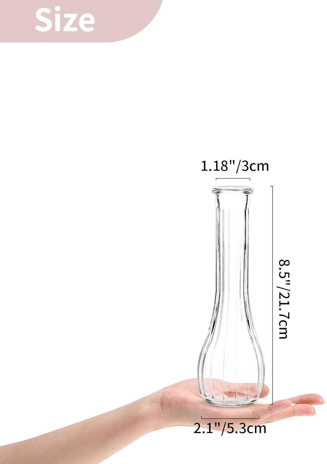 NUPTIO Glass Bud Vases Centerpiece Bulk, 8.5" Tall, Clear, Set of 3 | Cute Ribbed Flower Vase, for Wedding, Birthday, Party, Events, Home, Table Decor
