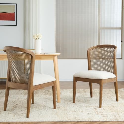 Christopher Knight Home Lilia Dining Chairs Set of 2, Modern Dining Chair wit...