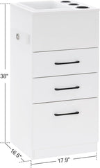 BarberPub Salon Storage Cabinet Beauty Locker Hair Dryer Holder Stylist Spa Equipment with Drawer 2035 (White)