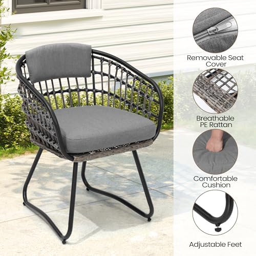 Pellebant 11 Piece Outdoor Dining Set for 10, Aluminum Table & Wicker Chair